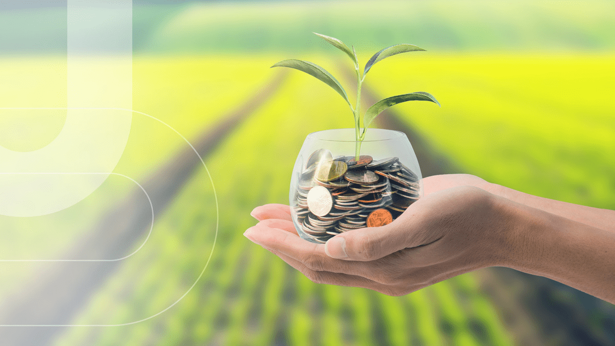 investimentos em LCA - LCA e LCI - Como funciona LCA - Como funciona LCI- Onde investir em LCA - Como investir em LCA